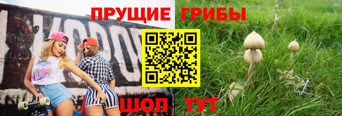 Галлюциногенные грибы ЛСД Дивногорск