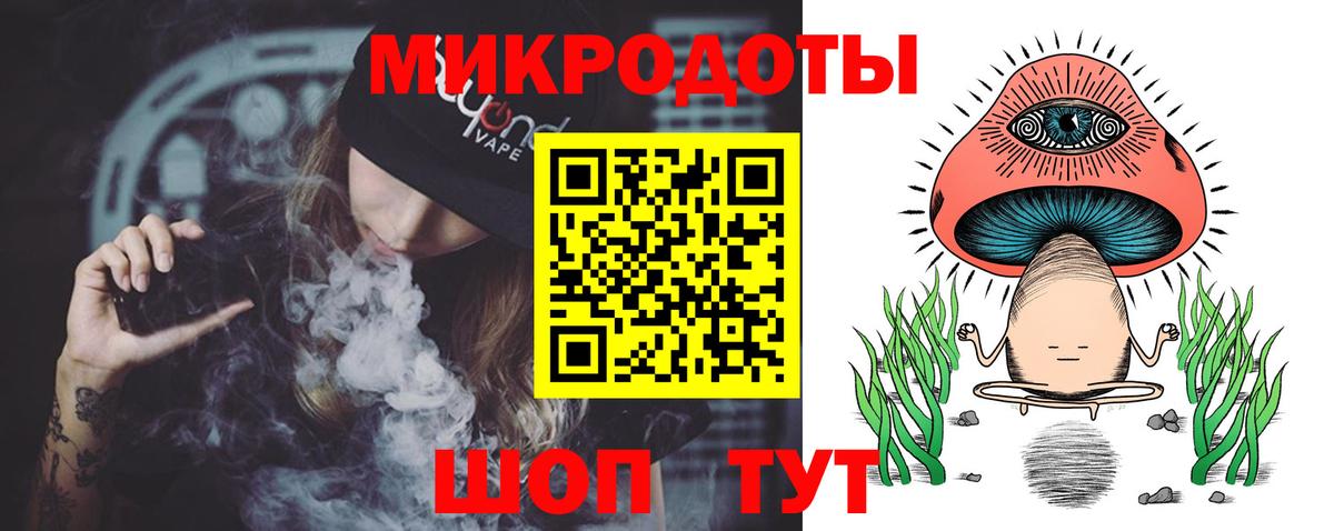 Дивногорск  Псилоцибиновые грибы прущие грибы  Вход с VPN  Псилоцибиновые грибы Psilocybe 